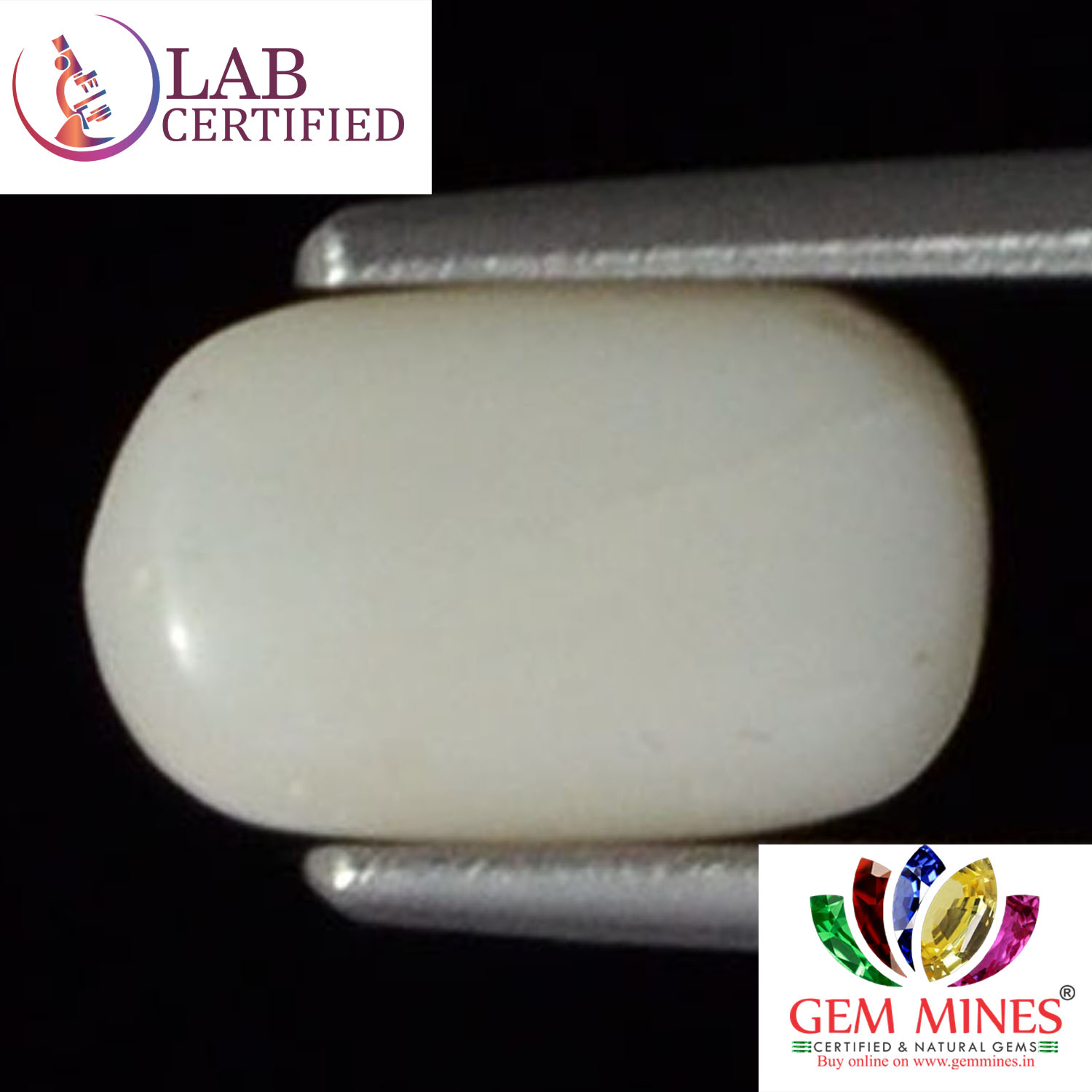 WC145 2 White Coral 2.3 Ct.