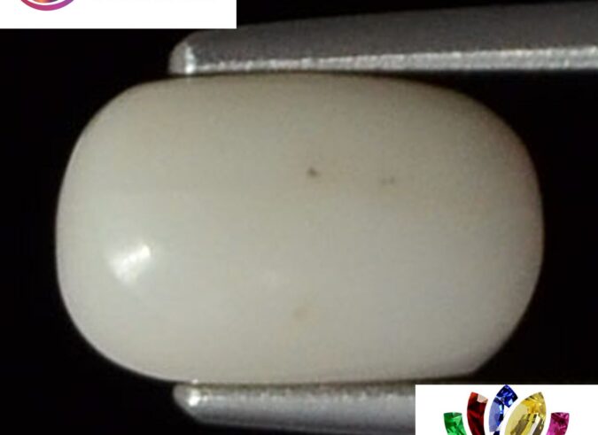 WC146 1 e1680681158824 White Coral 2.3 Ct.