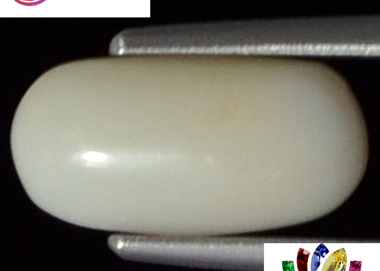 White Coral 1.72 Ct.
