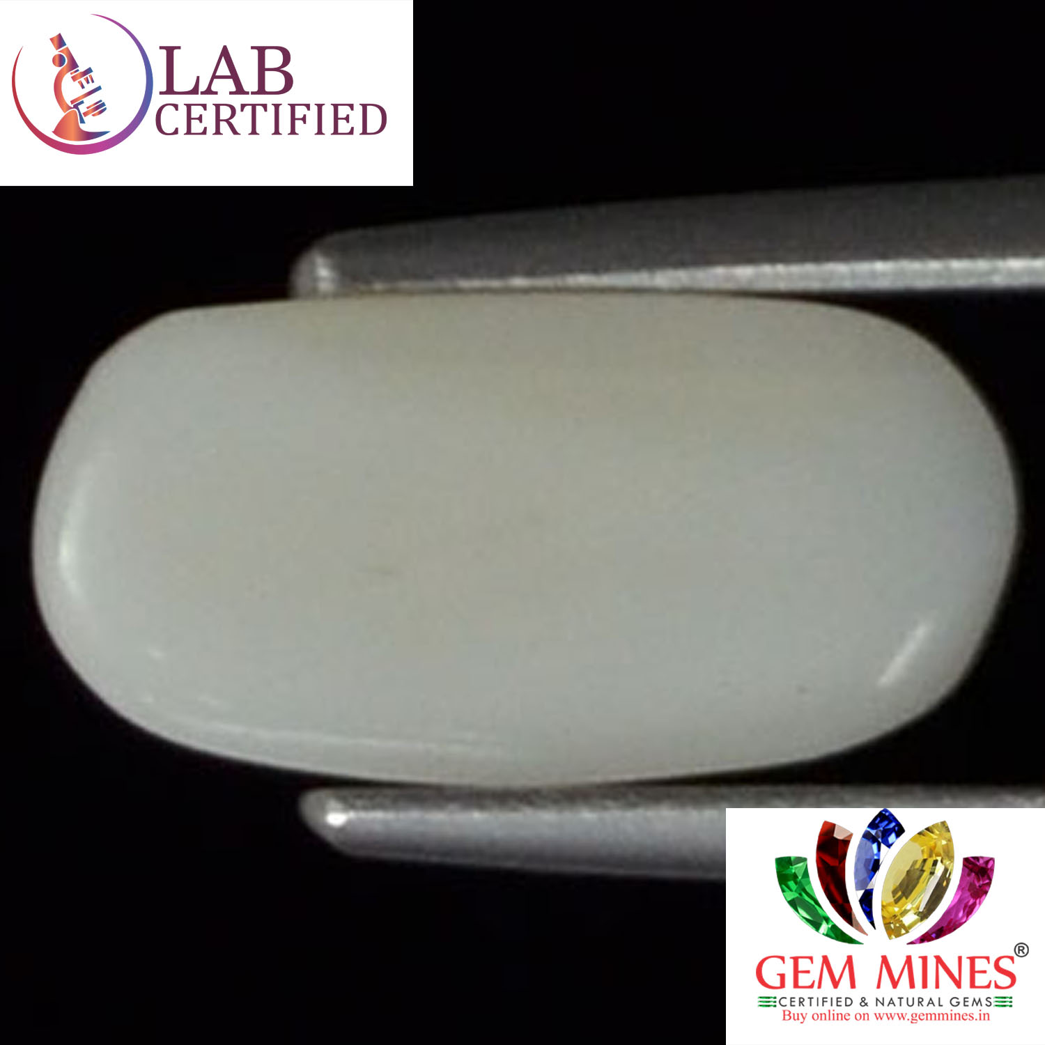 WC147 2 White Coral 1.72 Ct.