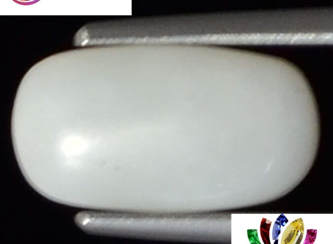 WC148 1 e1680681407187 White Coral 1.94 Ct.