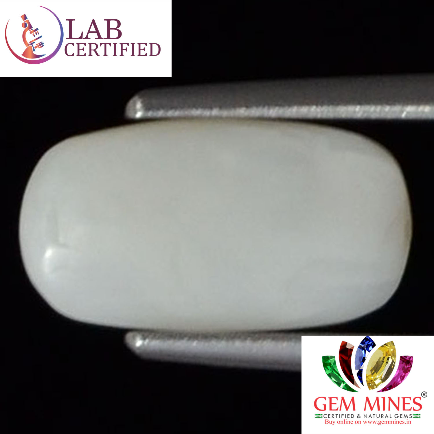 WC148 2 White Coral 1.94 Ct.