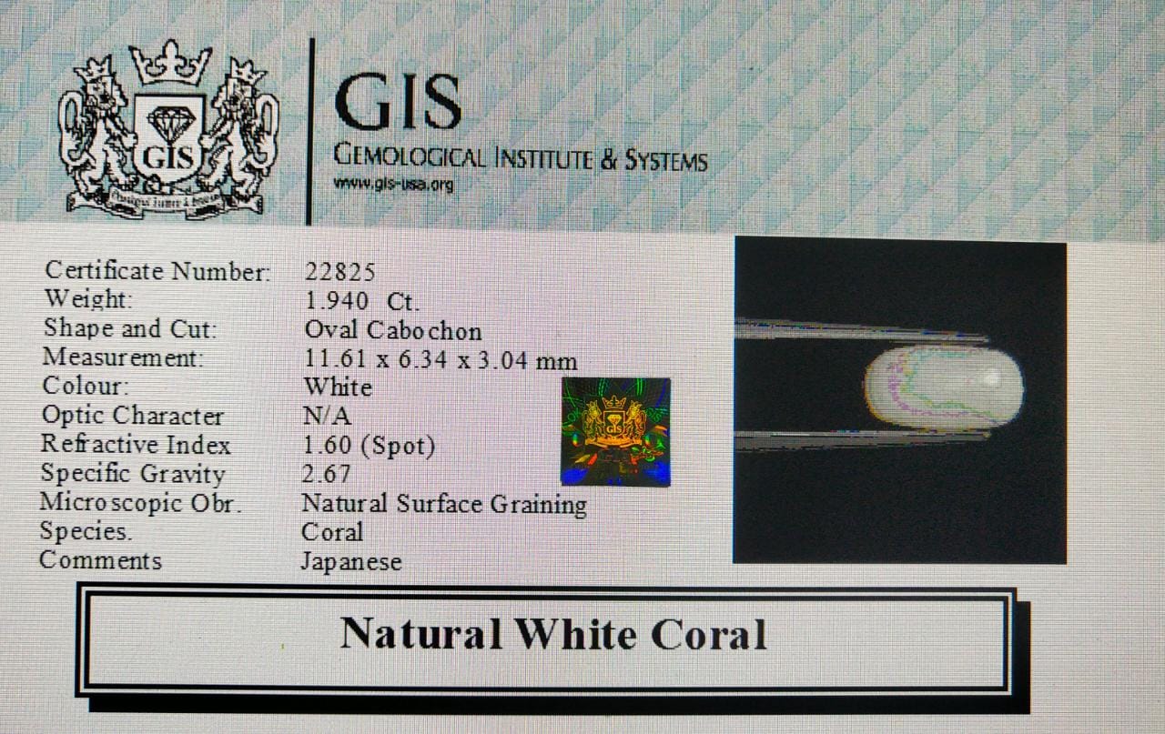 WC148 4 White Coral 1.94 Ct.