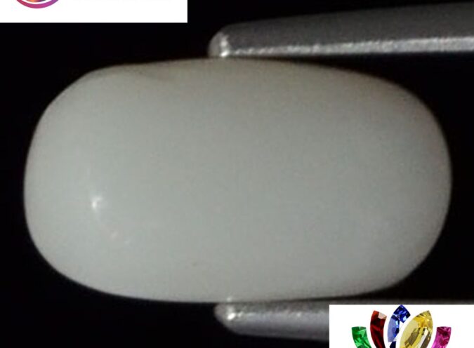 WC149 1 e1680681416986 White Coral 2.58 Ct.