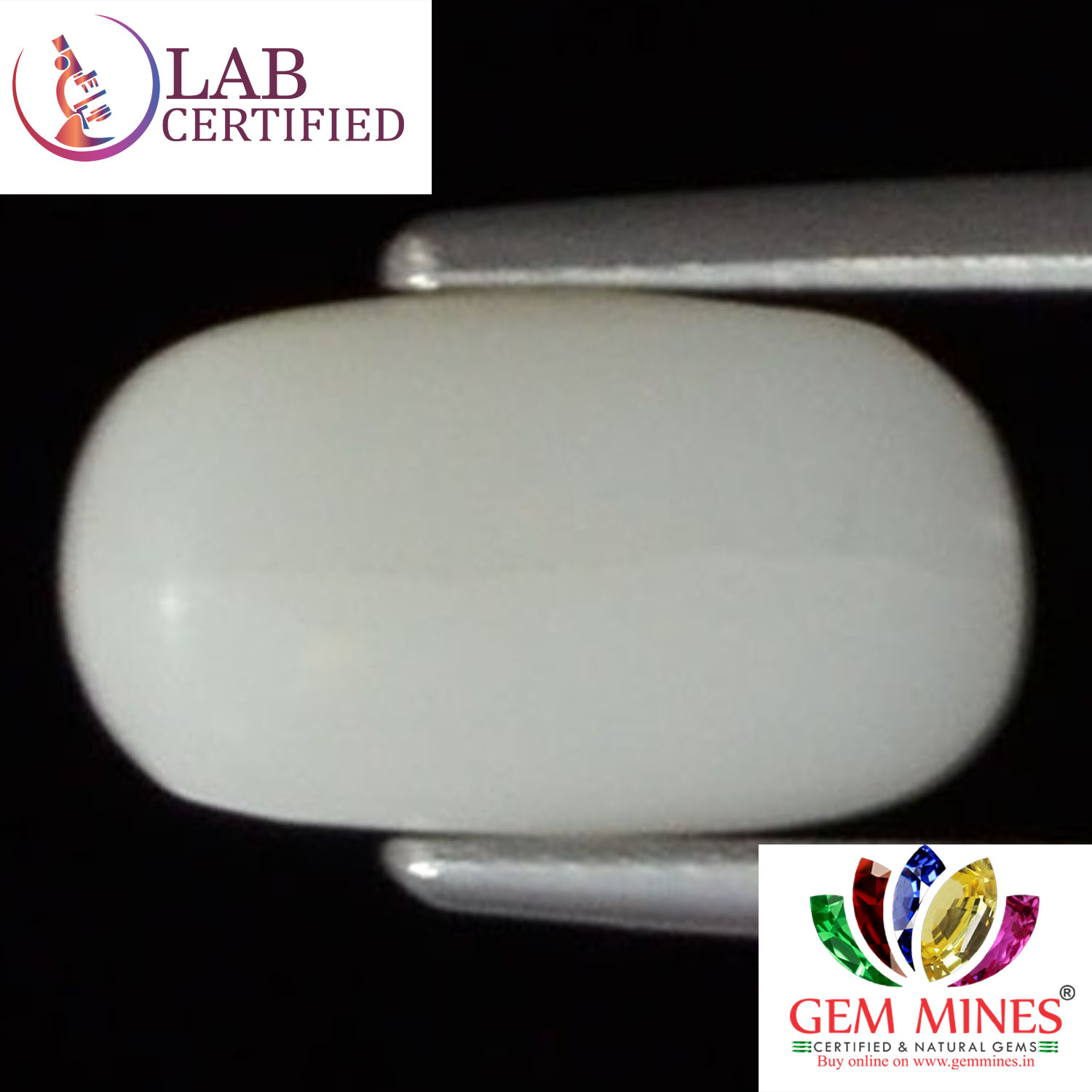 WC149 2 White Coral 2.58 Ct.