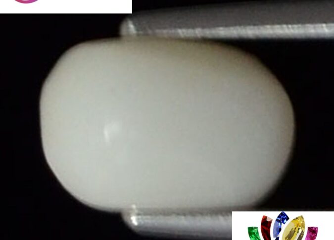WC150 1 e1680681413156 White Coral 2.01 Ct.