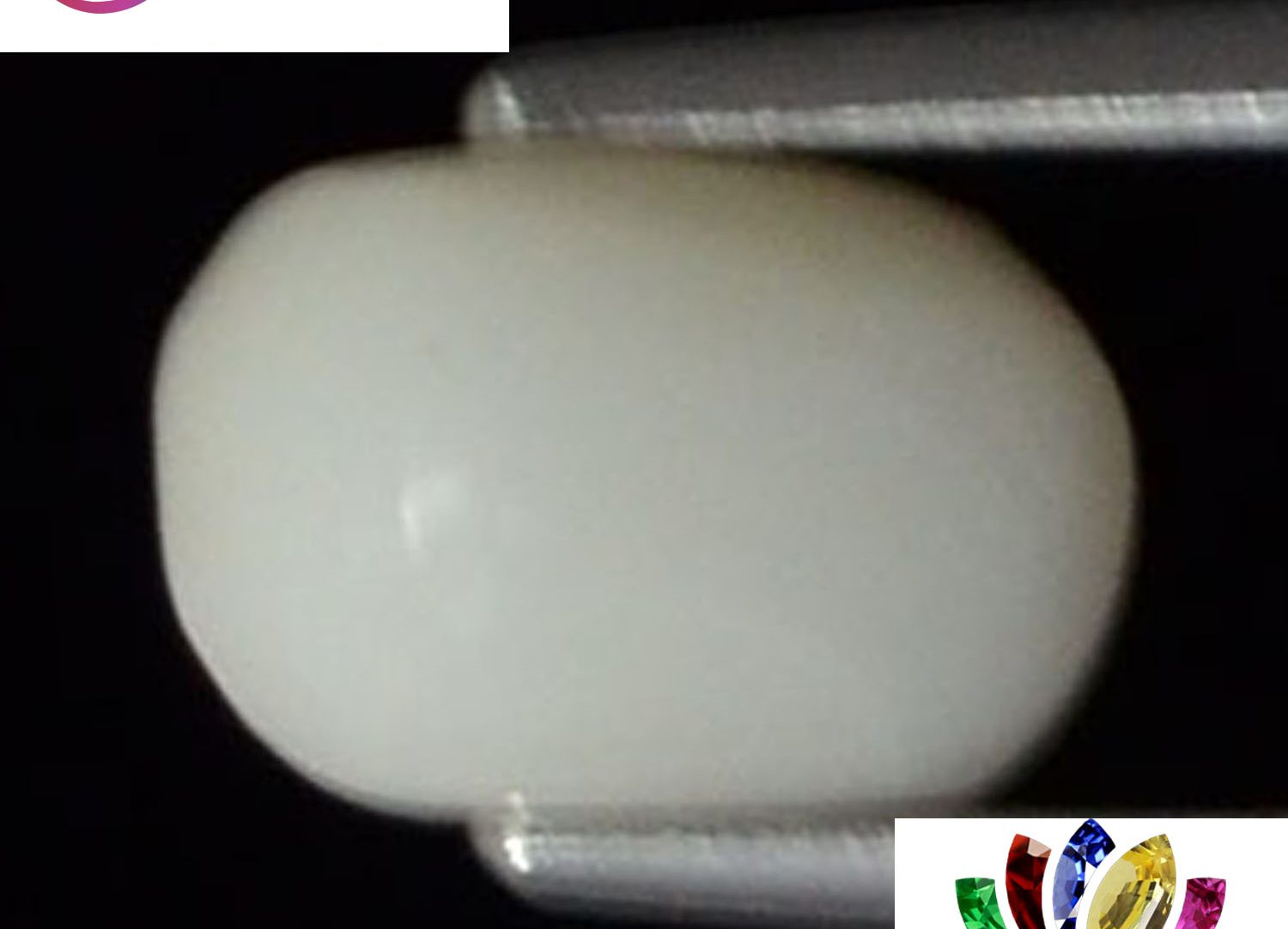 White Coral 2.01 Ct.
