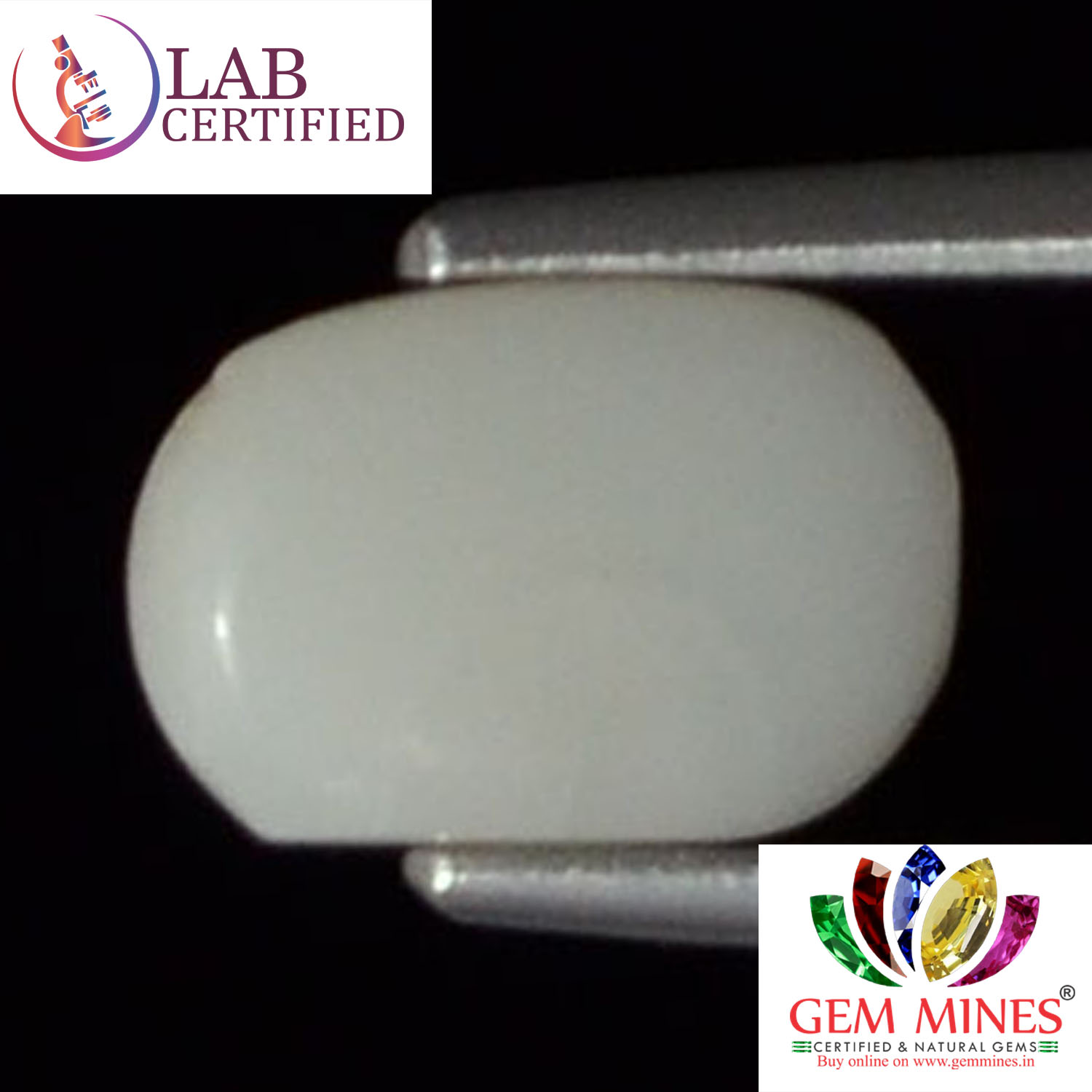WC150 2 White Coral 2.01 Ct.