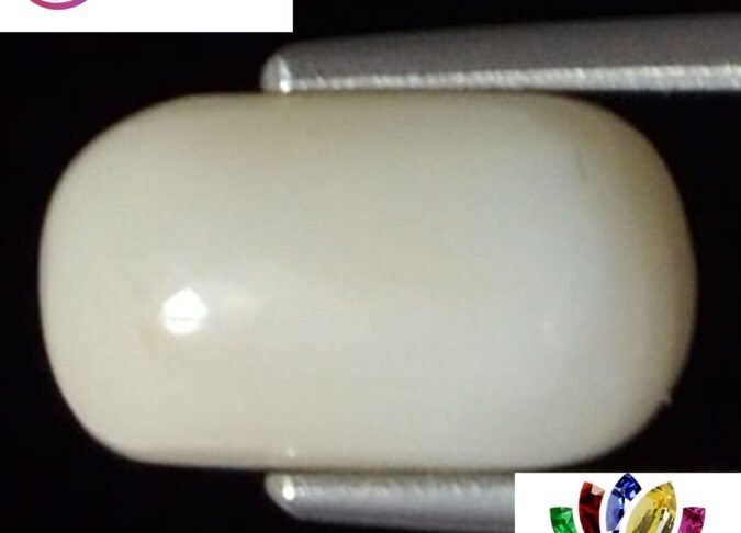 WC151 1 e1680681408747 White Coral 3.76 Ct.