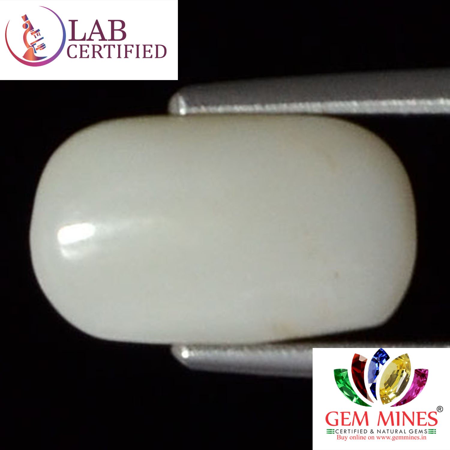 WC151 2 White Coral 3.76 Ct.