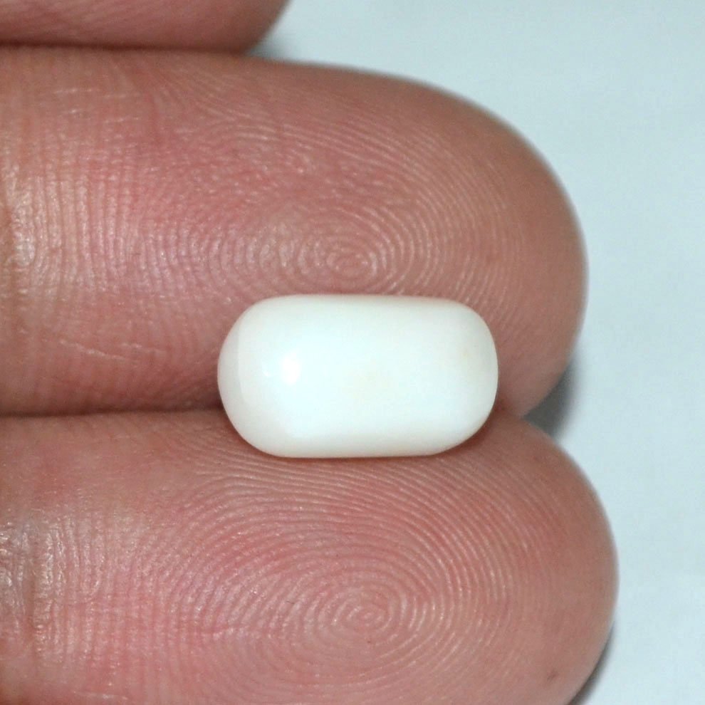 WC151 3 White Coral 3.76 Ct.