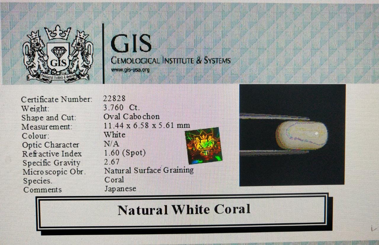WC151 4 White Coral 3.76 Ct.