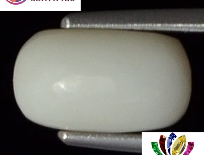 WC152 1 e1680681416977 White Coral 2.54 Ct.