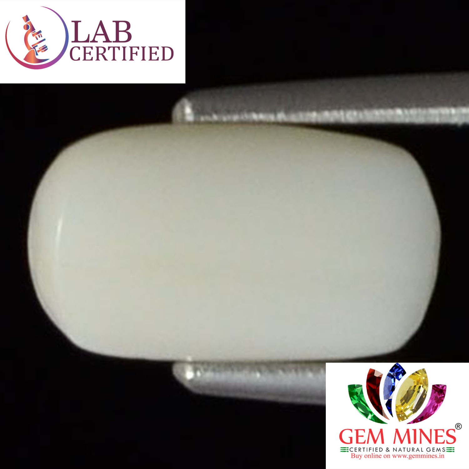 WC152 2 White Coral 2.54 Ct.