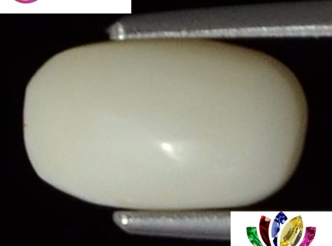 WC153 1 e1680683831499 White Coral 2.35 Ct.