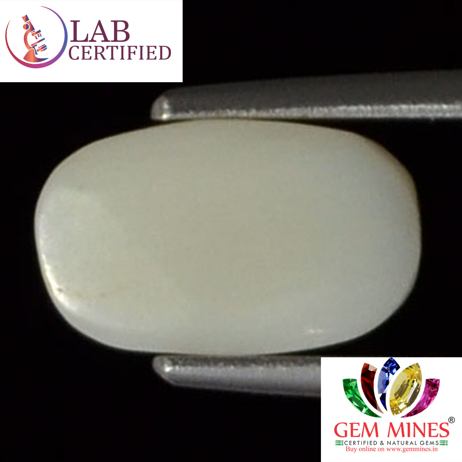 WC153 2 White Coral 2.35 Ct.