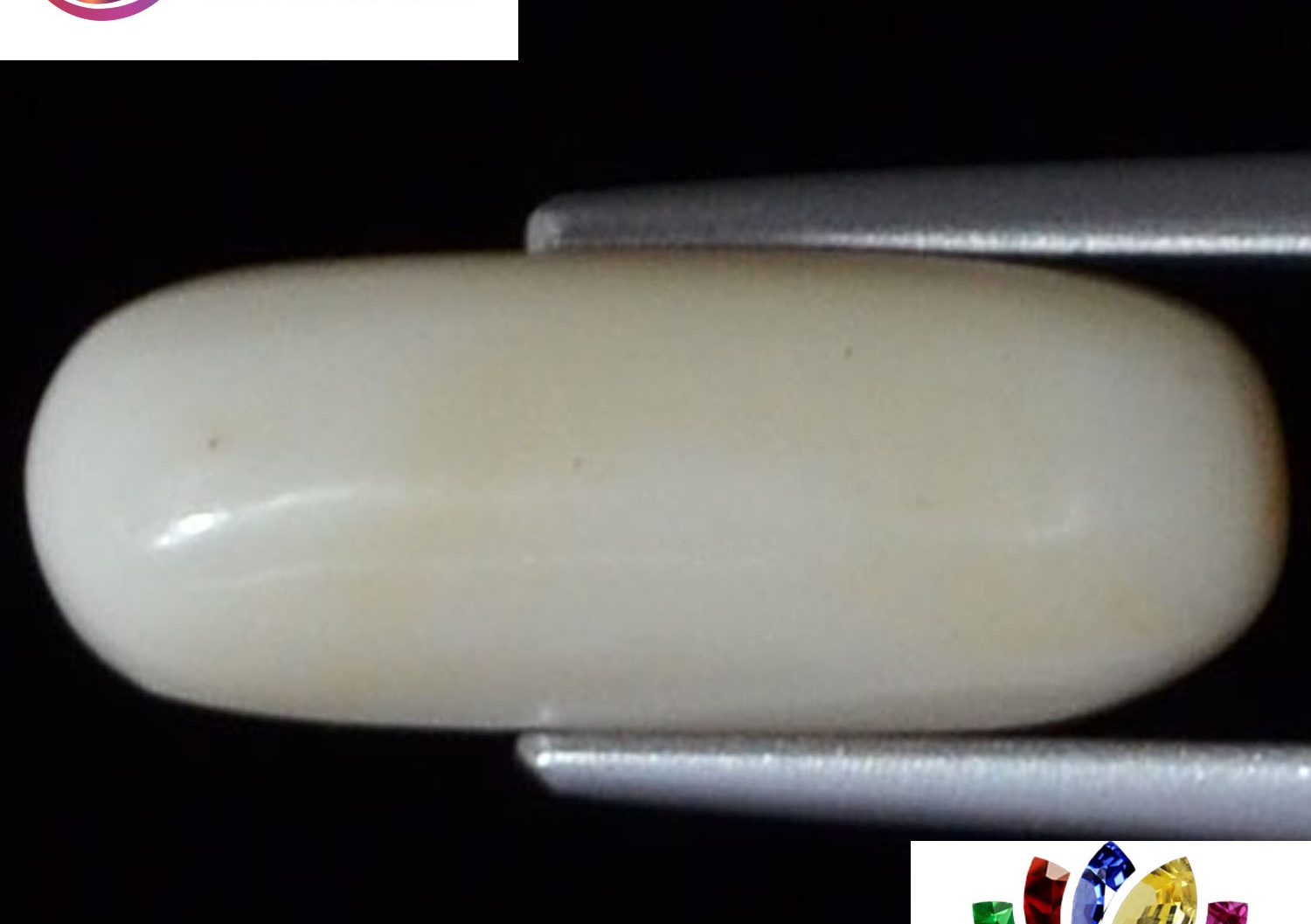 White Coral 4.35 Ct.