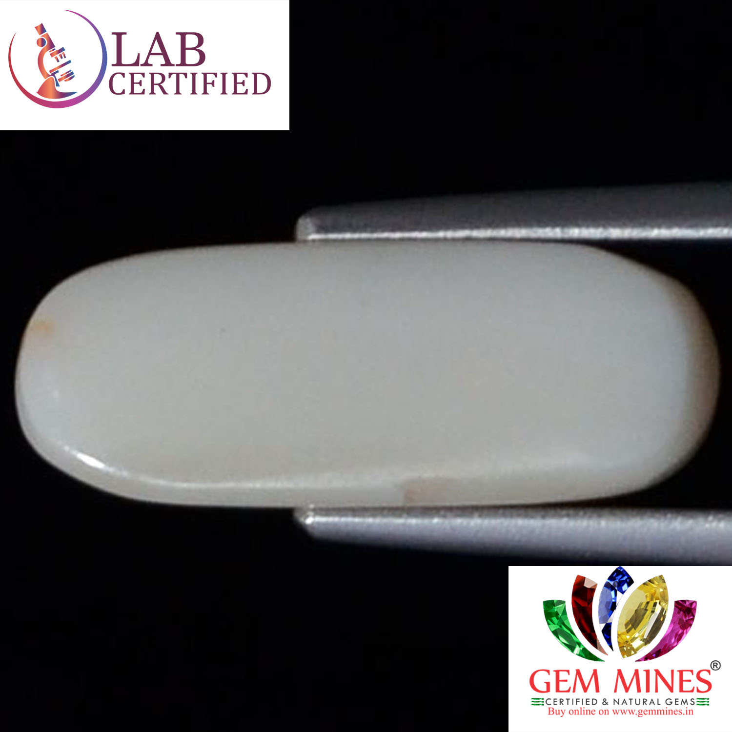 WC154 2 White Coral 4.35 Ct.