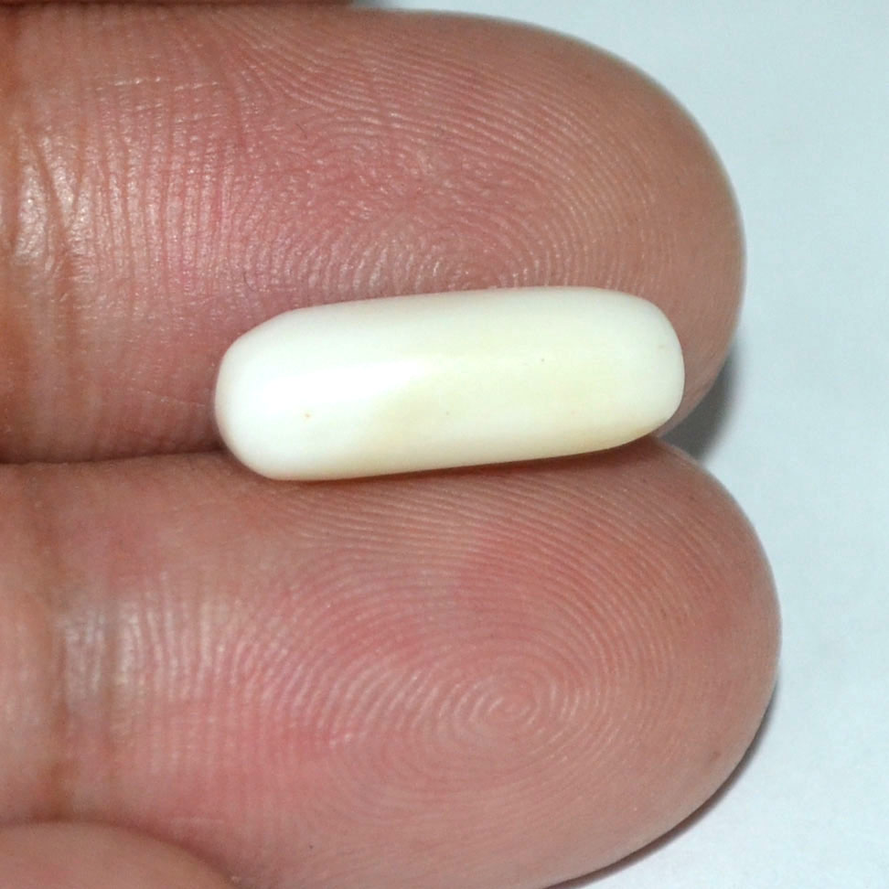 WC154 3 White Coral 4.35 Ct.