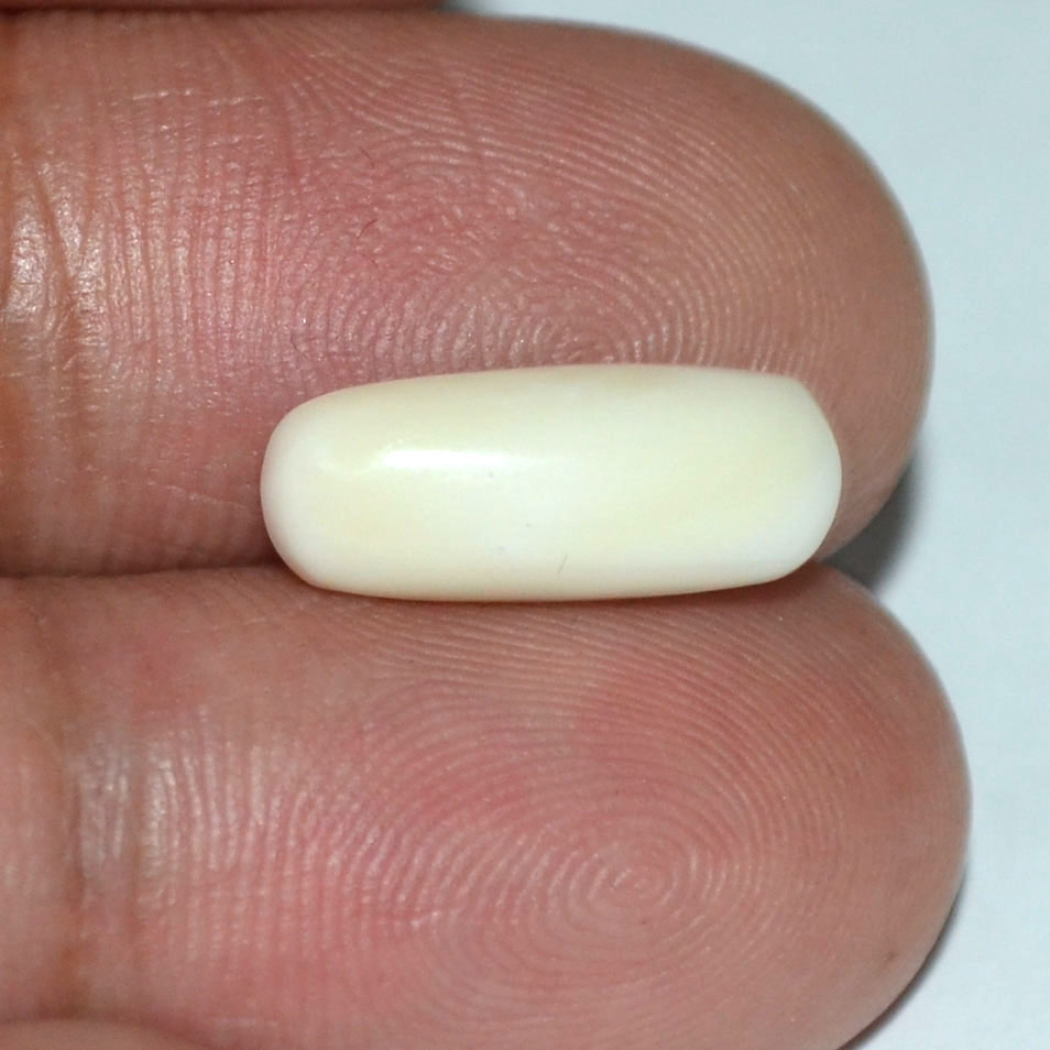 WC156 3 White Coral 4 Ct.