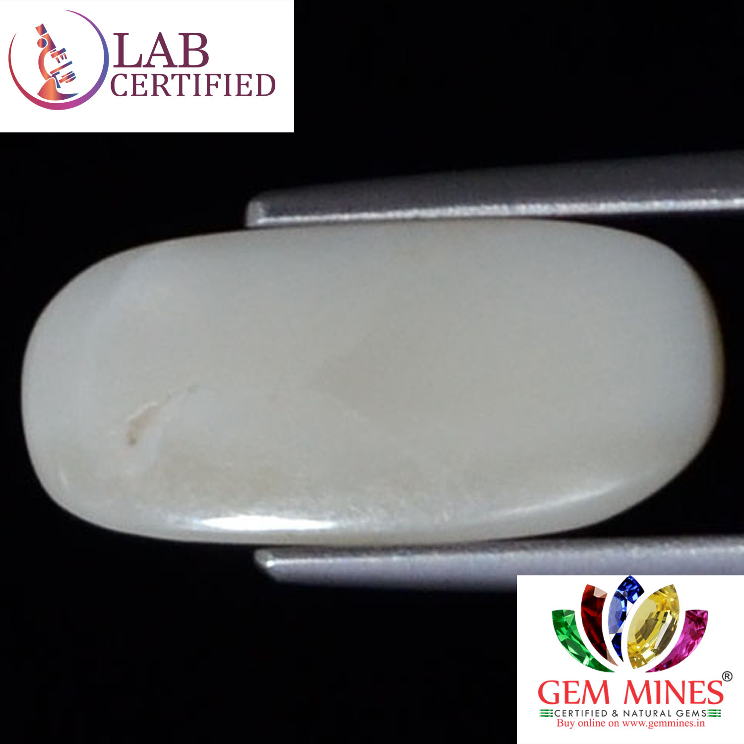 WC157 2 White Coral 4.3 Ct.