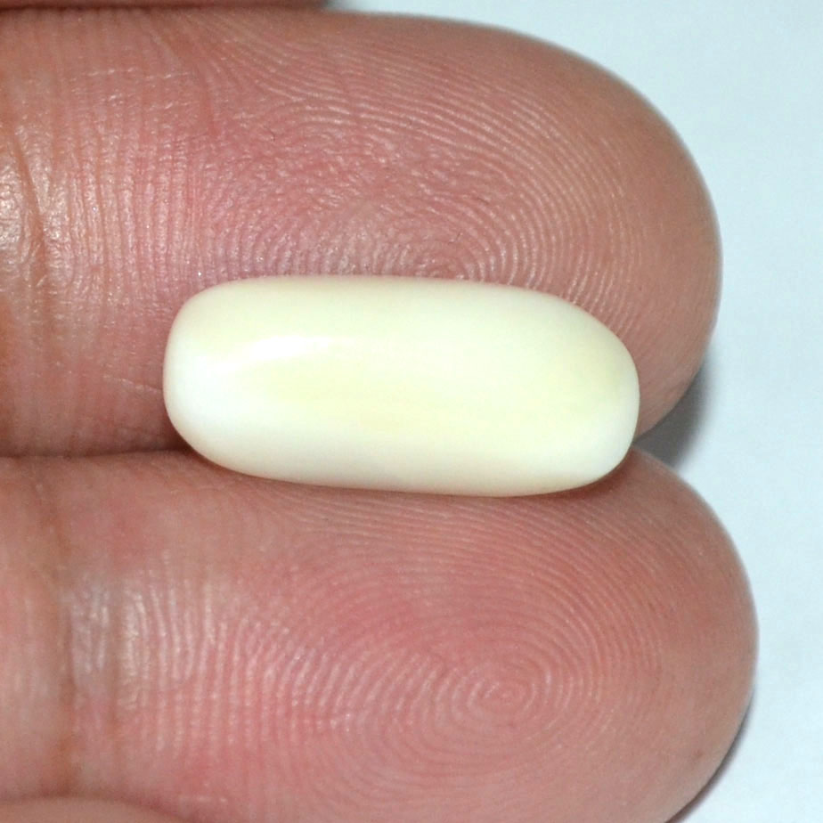 WC157 3 White Coral 4.3 Ct.