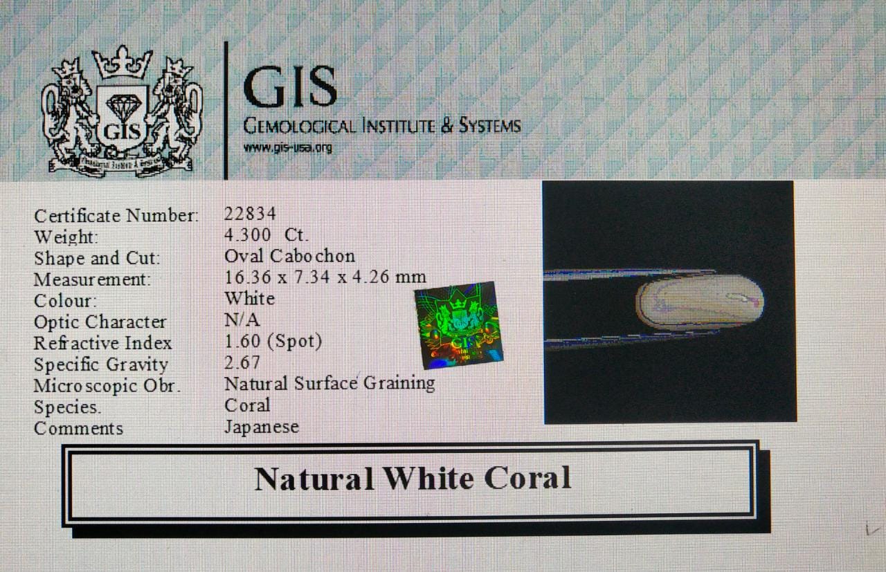 WC157 4 White Coral 4.3 Ct.