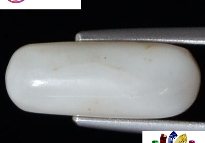 WC158 1 e1680684116688 White Coral 3.71 Ct.