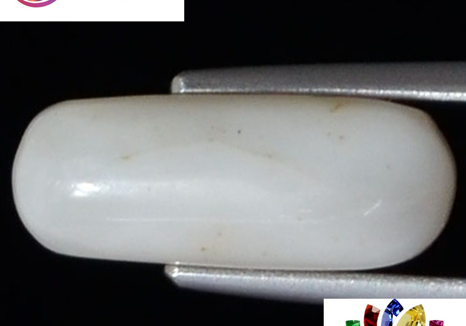 White Coral 3.71 Ct.