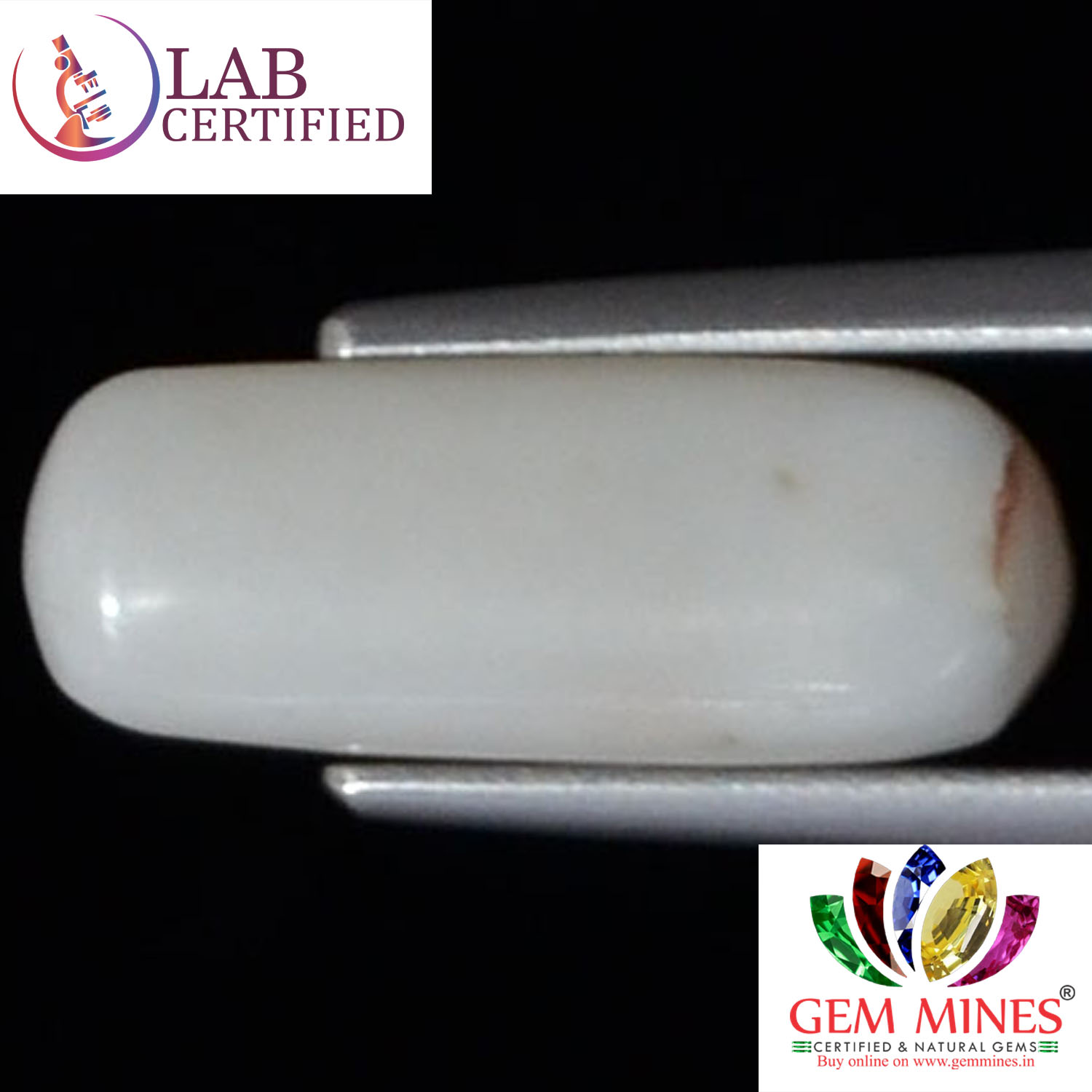 WC158 2 White Coral 3.71 Ct.