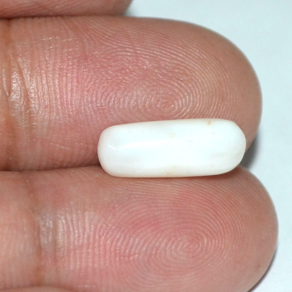 WC158 3 White Coral 3.71 Ct.