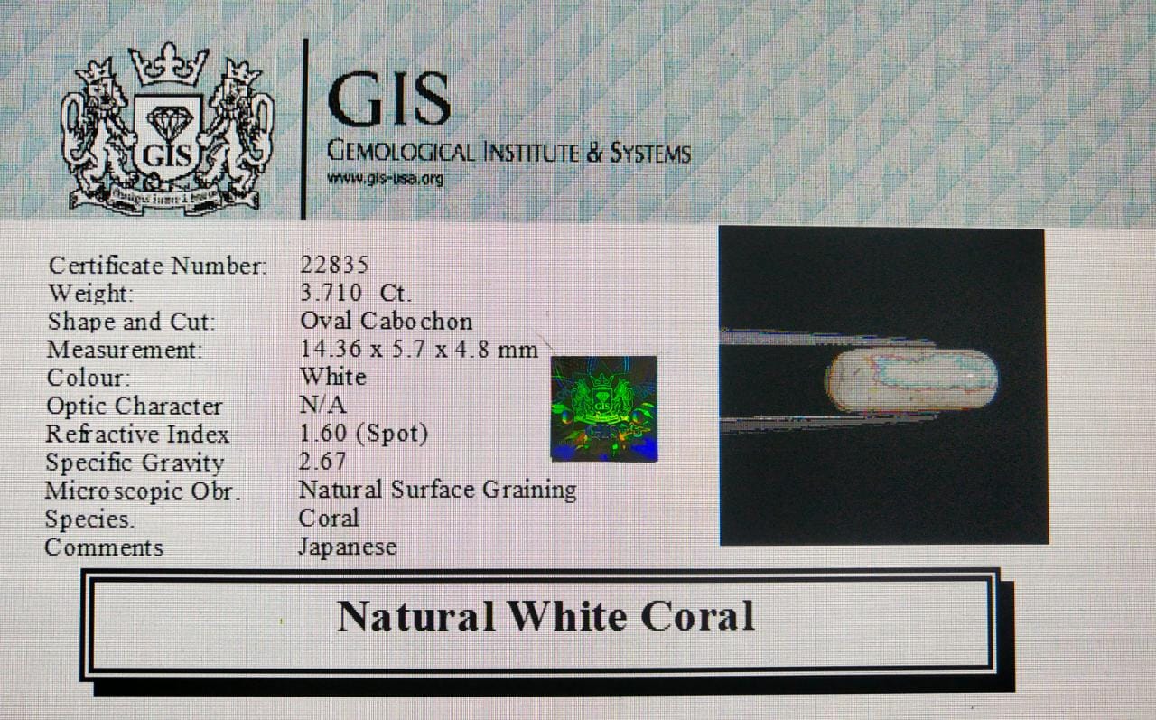 WC158 4 White Coral 3.71 Ct.