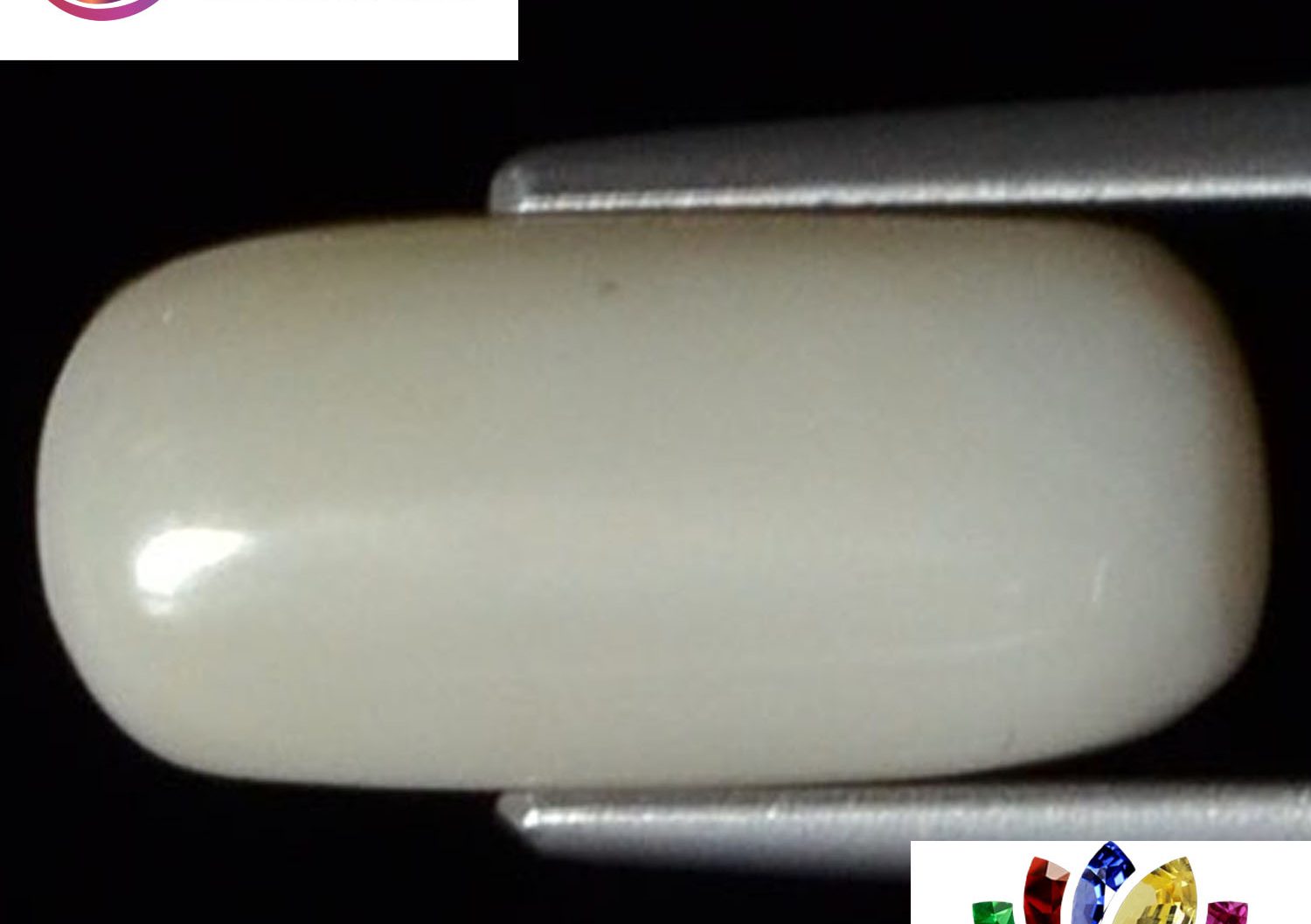 White Coral 4.31 Ct.