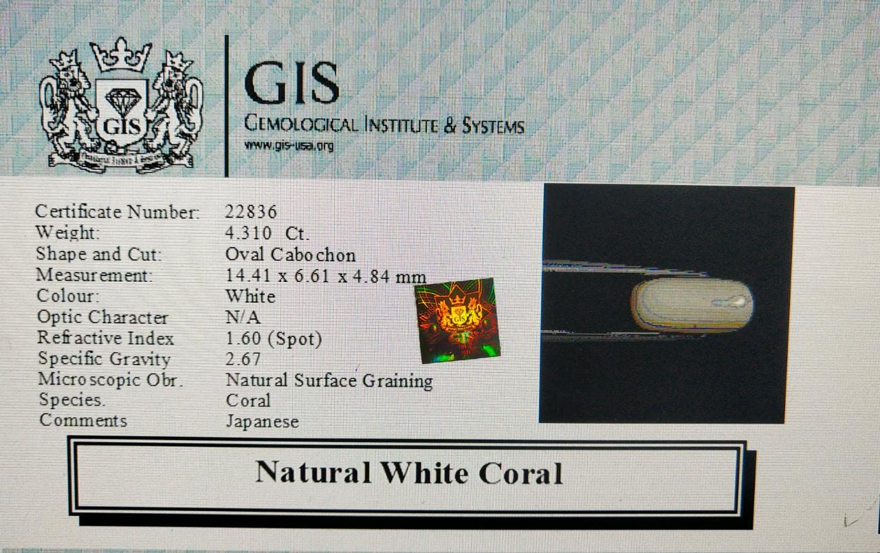 WC159 4 White Coral 4.31 Ct.