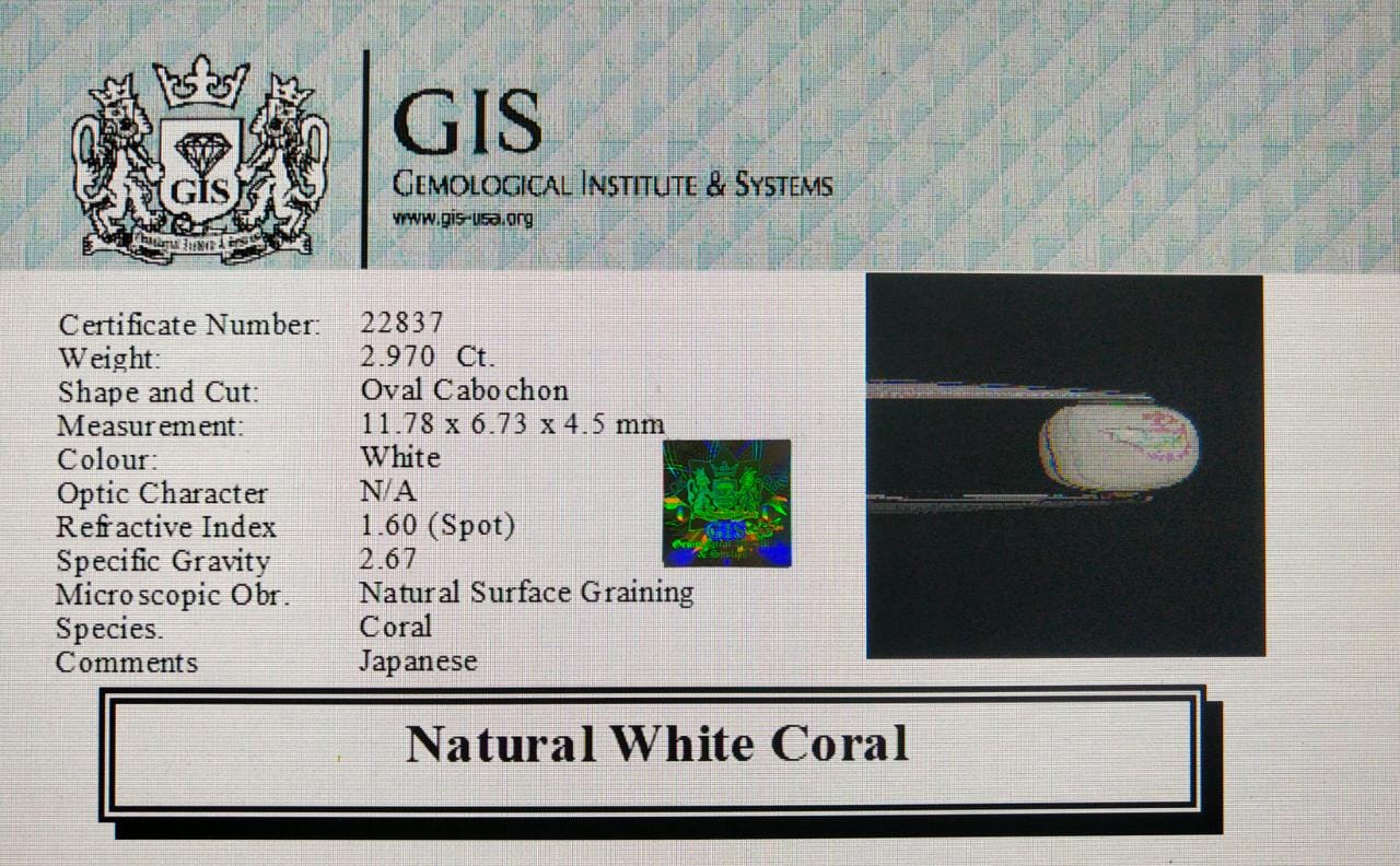 White Coral 2.97 Ct.