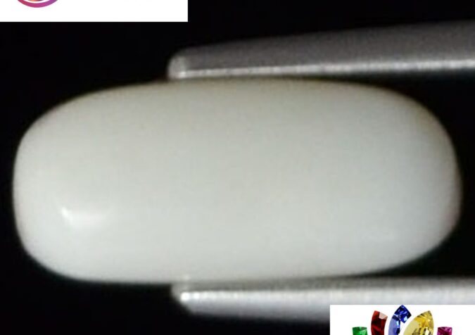 WC161 1 e1680684127387 White Coral 2.25 Ct.