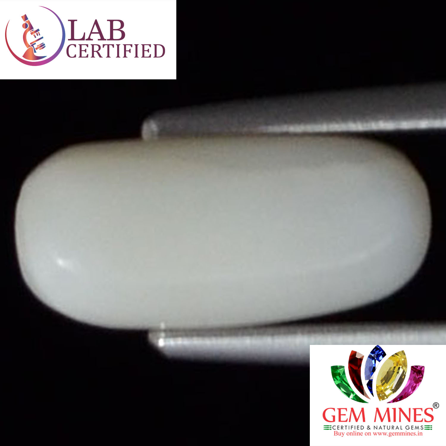 WC161 2 White Coral 2.25 Ct.