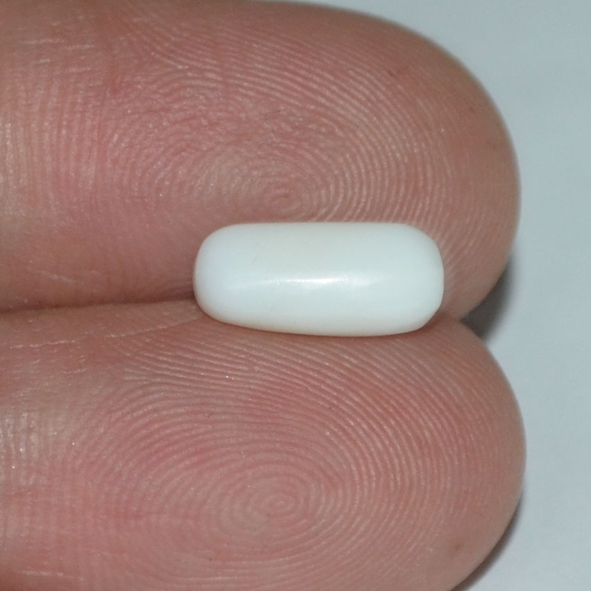 WC161 3 White Coral 2.25 Ct.