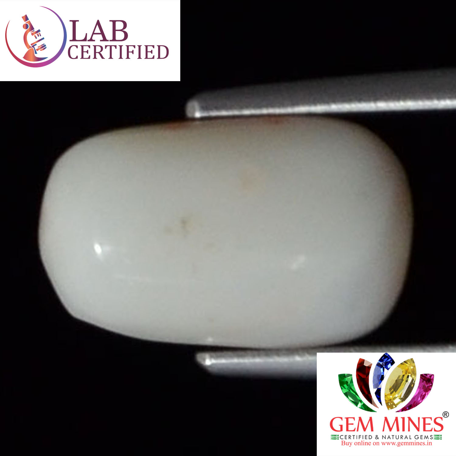 White Coral 4.2 Ct.