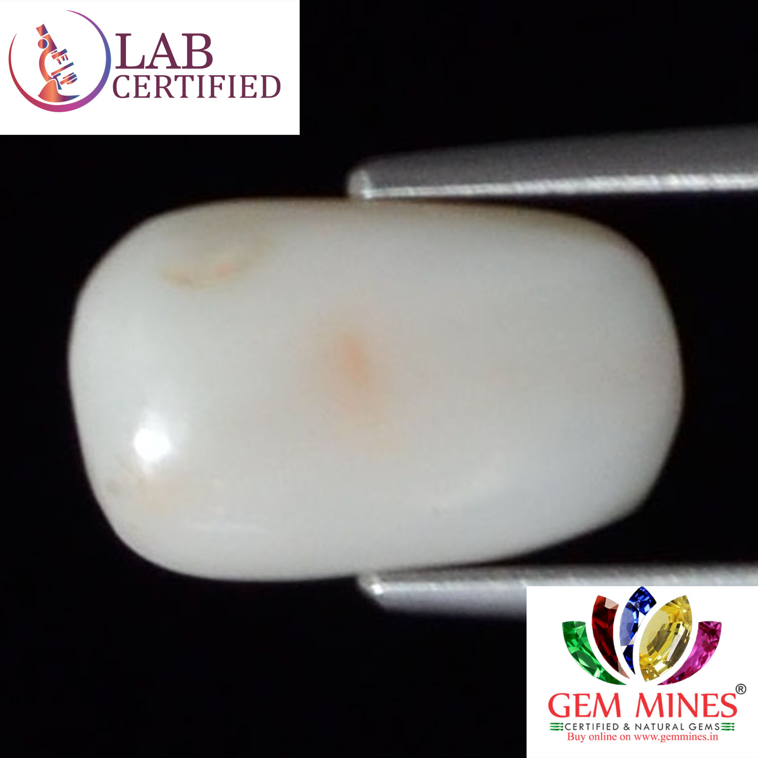 WC168 2 White Coral 4.2 Ct.