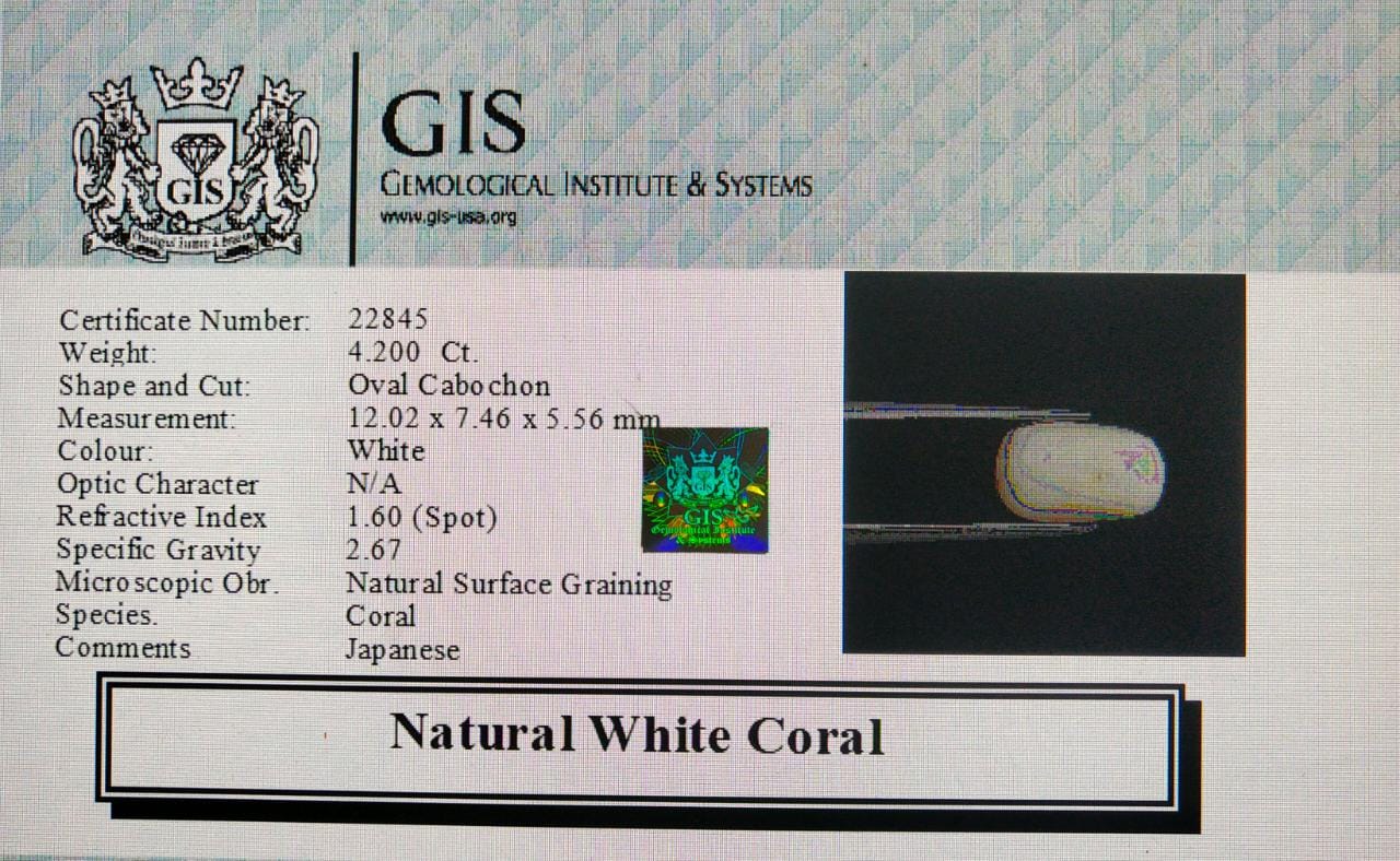 WC168 4 White Coral 4.2 Ct.