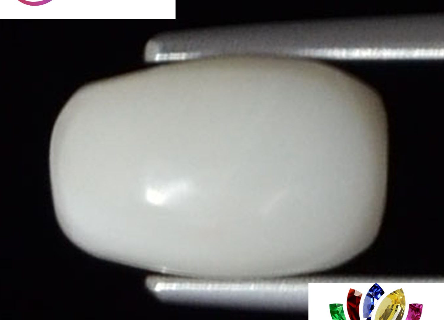 White Coral 3.09 Ct.