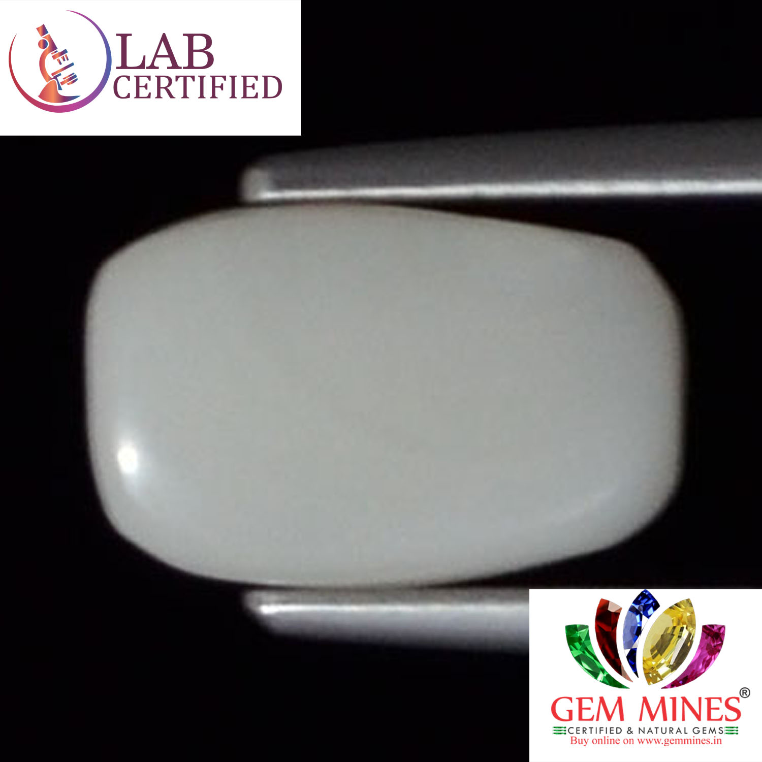 White Coral 3.09 Ct. 3 WC170 2 White Coral 3.09 Ct.