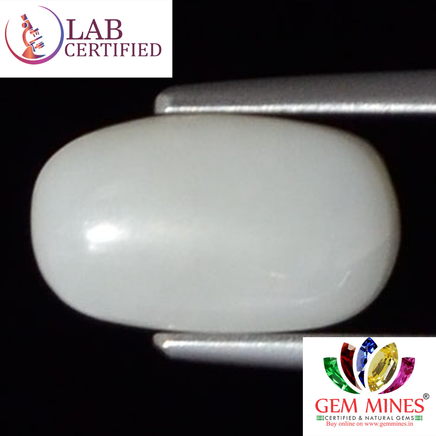 White Coral 2.6 Ct.