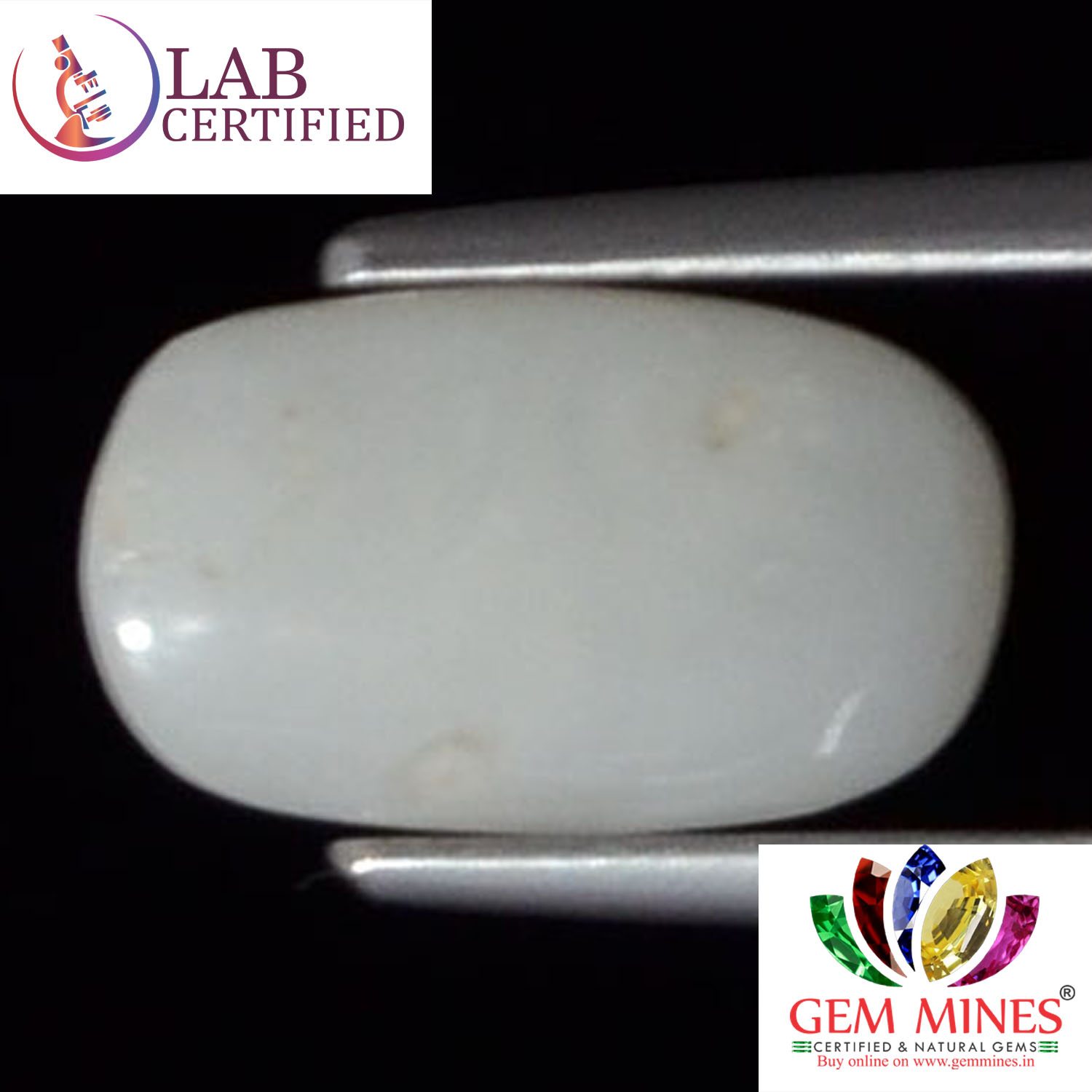 White Coral 2.6 Ct. 3 WC171 2 White Coral 2.6 Ct.