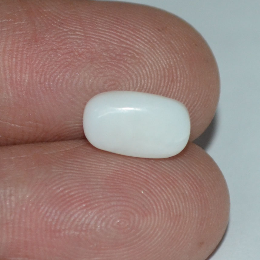 White Coral 2.6 Ct. 4 WC171 3 White Coral 2.6 Ct.