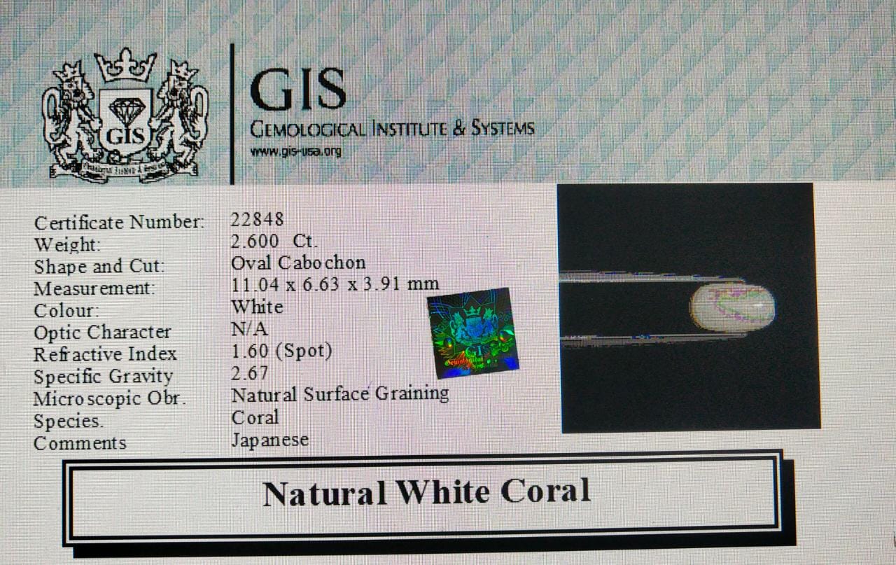 White Coral 2.6 Ct. 5 WC171 4 White Coral 2.6 Ct.