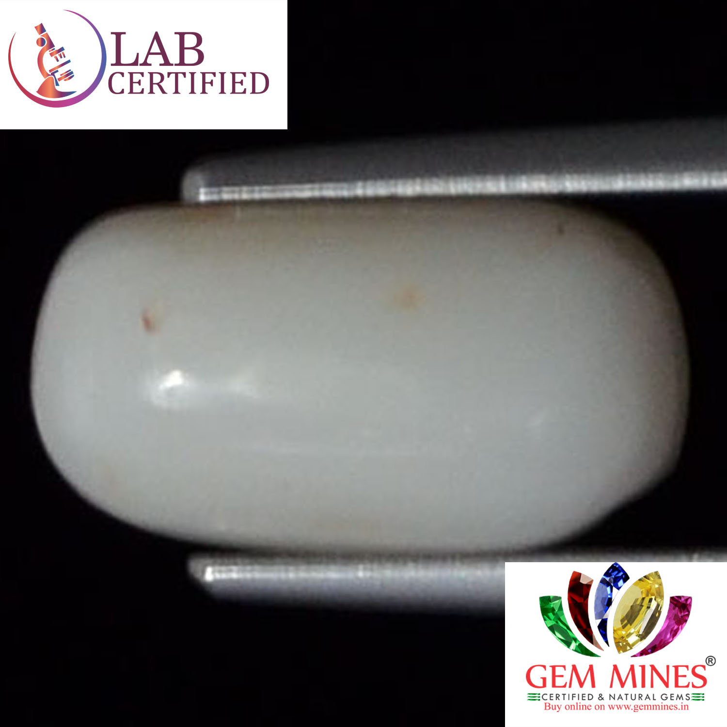 White Coral 4.2 Ct.