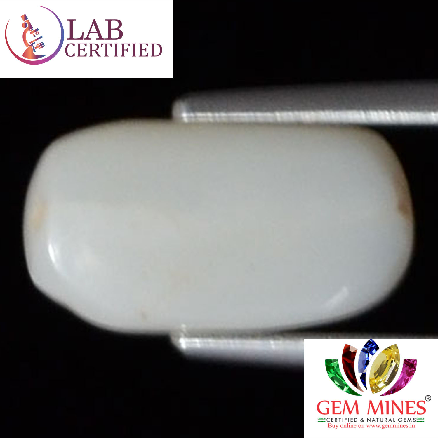 White Coral 4.2 Ct. 3 WC172 2 White Coral 4.2 Ct.