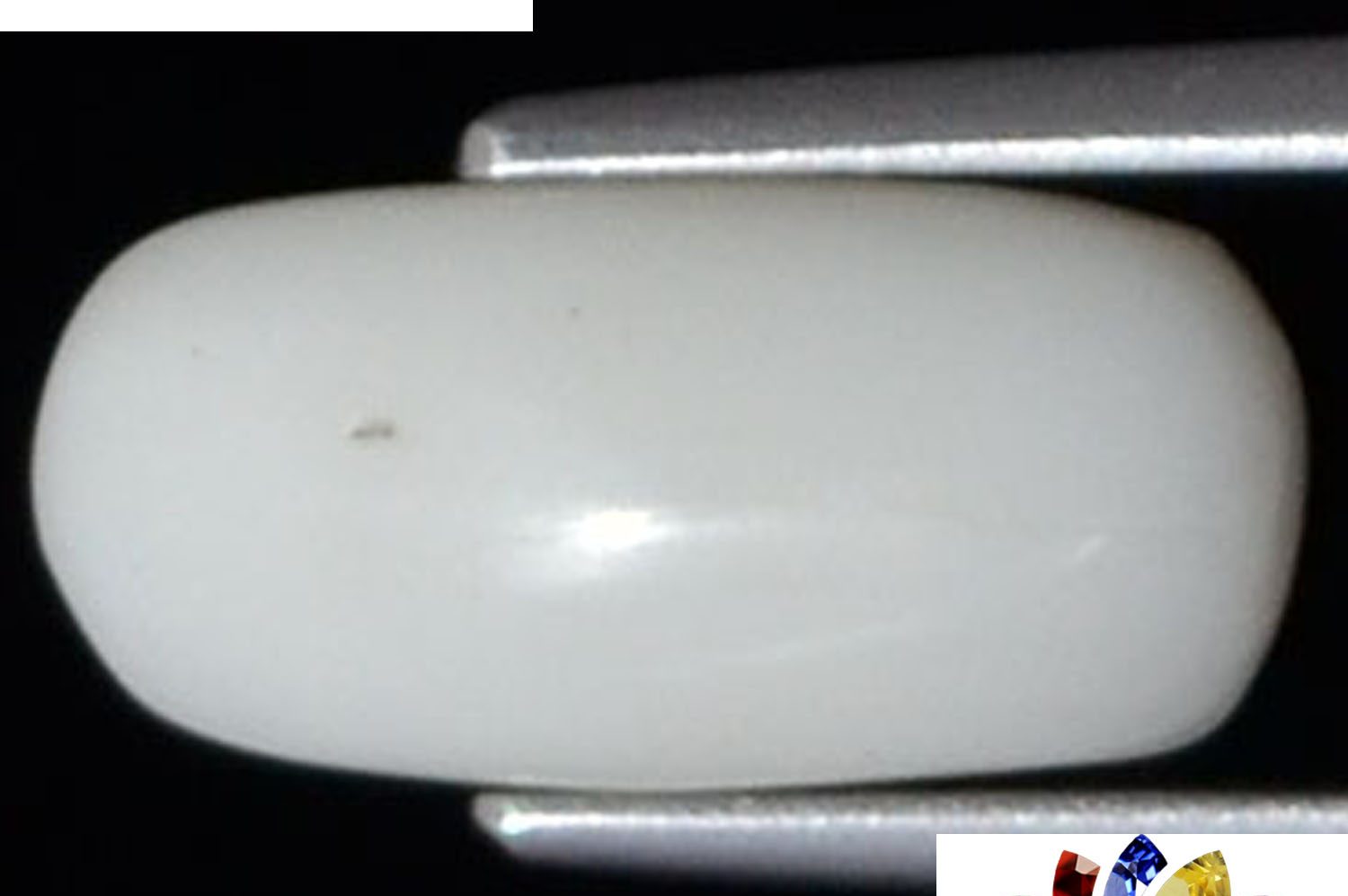 White Coral 3.42 Ct.